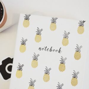 Pineapple Notebook